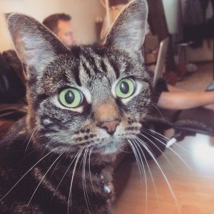 dbacd5b7-0640-47c4-9b41-55853d056a6d